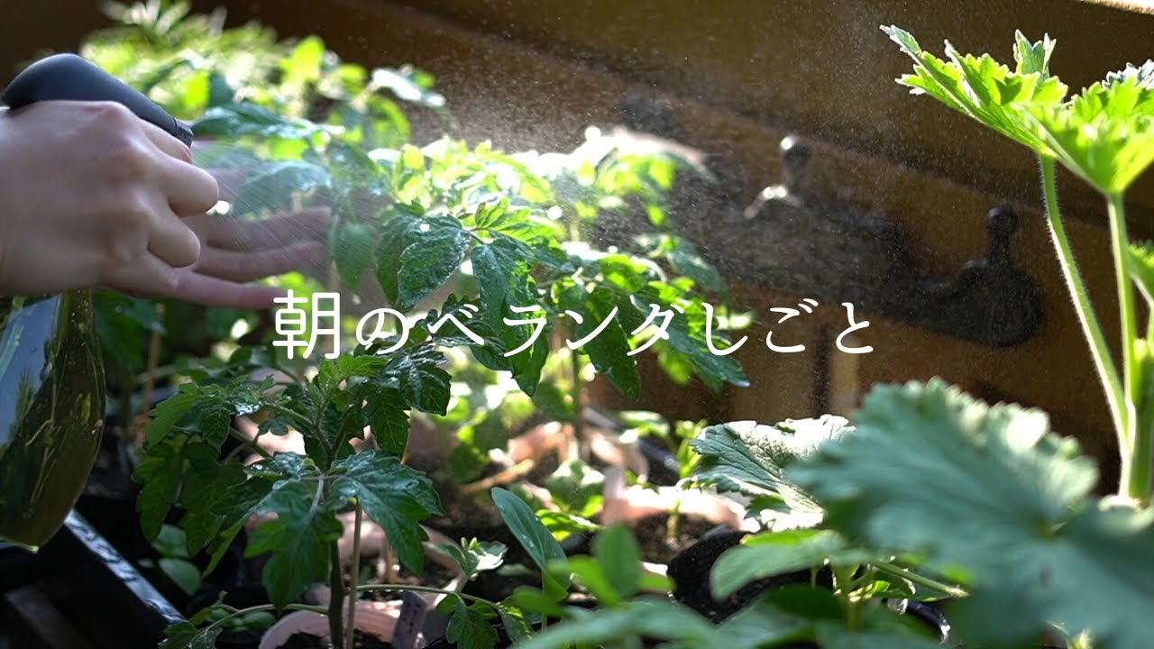 朝のベランダしごと [SUB]