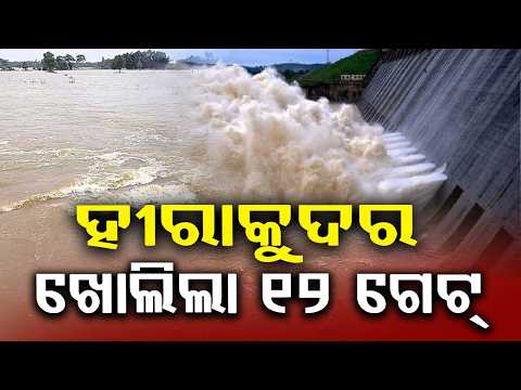 Odisha Flood Reality: 8 Lakh People Affected in 25 Districts; 12 Gates Open in Hirakud | Argus News