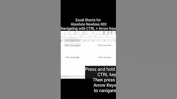 Excel Shorts for Absolute Newbies 002 | Navigating with CTRL + Arrow Keys #excel #exceltutorial