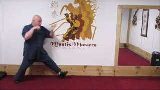 Beng Bu Tiptoe Step & Crushing Step