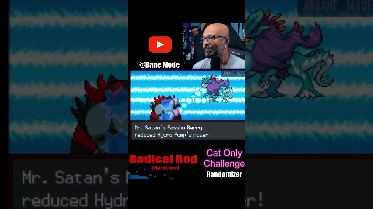 Cat Pokemon | FINAL BATTLE | Radical Red
