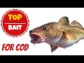 Whats the best bait for Cod : How to rig cuttlefish and Peeler Crab cocktail