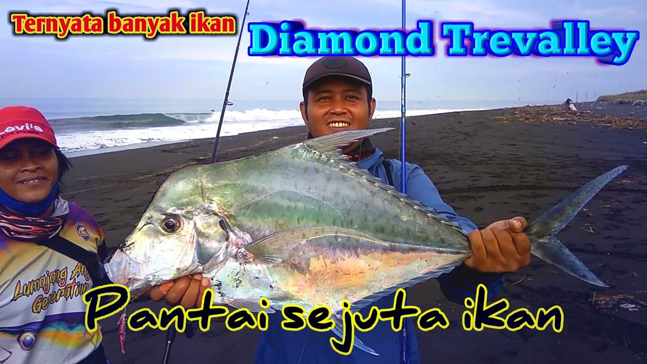 Diamond Trevalley pantai selatan