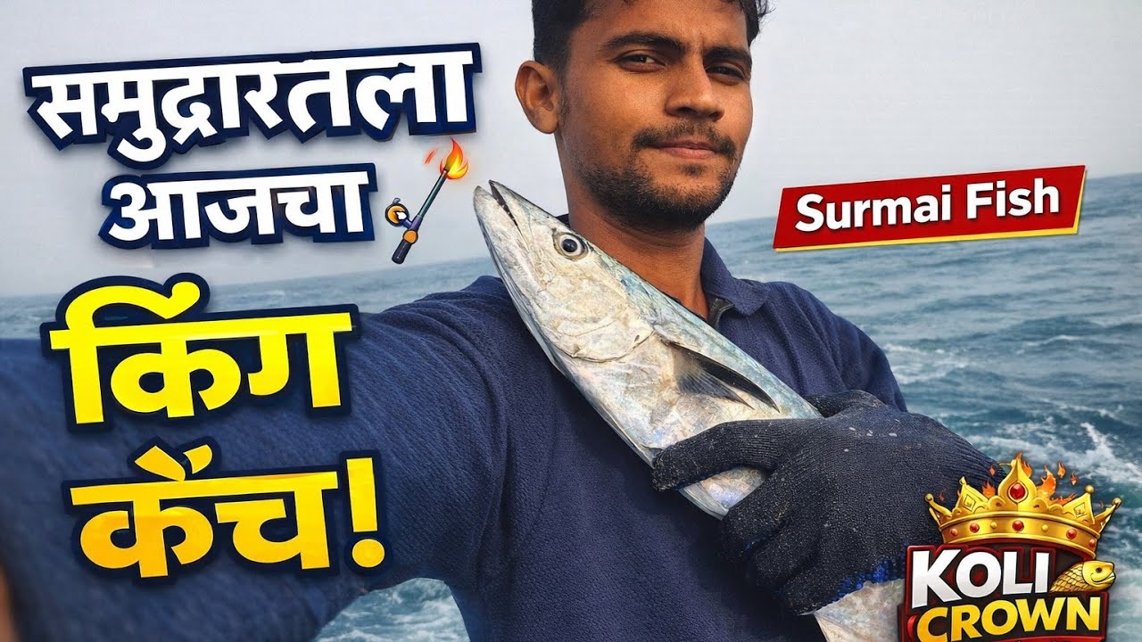 🔥🎣 समुद्रातला आजचा किंग कॅच | Surmai Fish Fishing Vlog 🌊🐟 | Real Sea Fishing