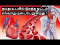 How does human blood circulatory system work in tamil