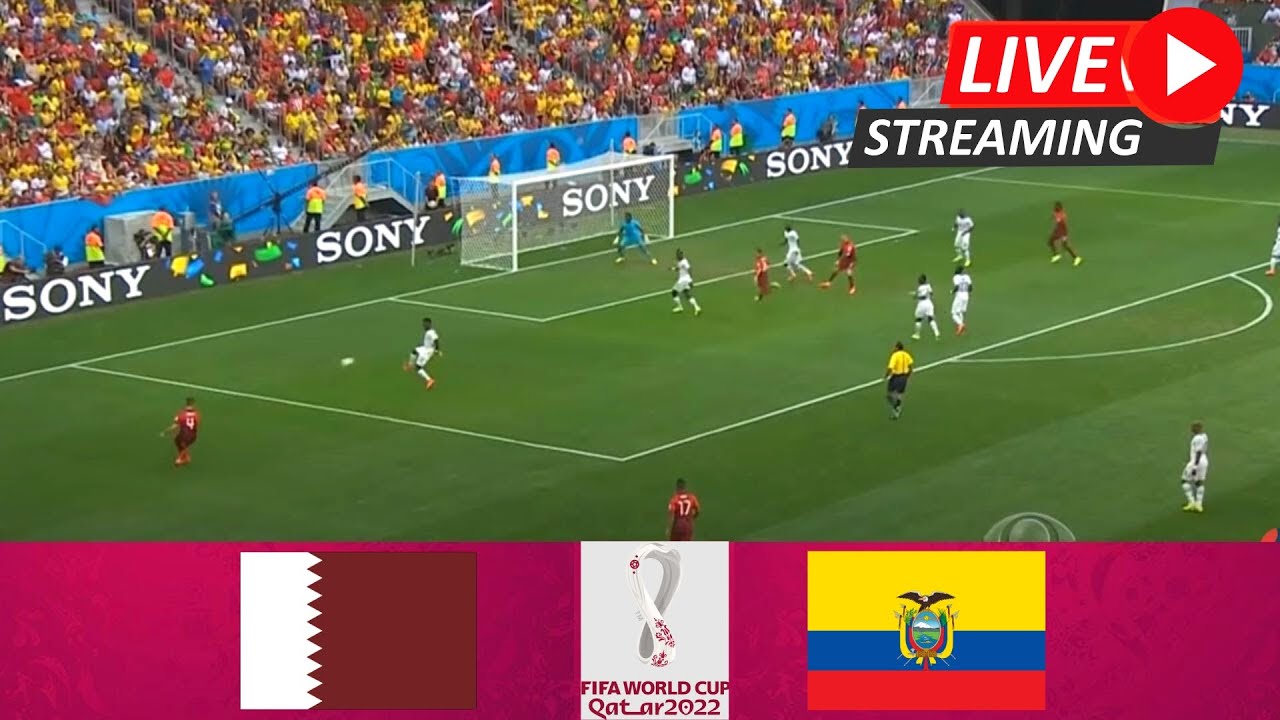 FIFA World Cup 2022 Live Qatar Vs Ecuador Match Qatar World Cup 2022 YouTube