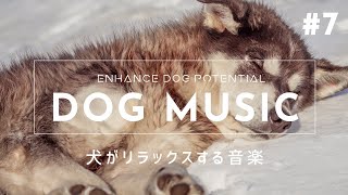 Relaxing Music for Dogs #7【Relieves Separation Anxiety, Sleep Disorders and Boredom】