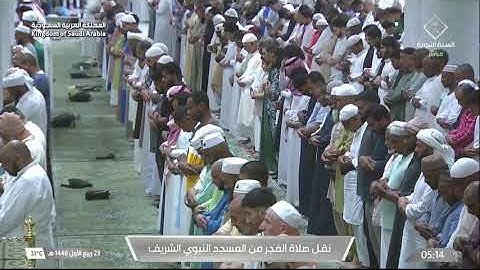 صلاة الفجر من المسجد النبوي  للشيخ د. خالد المهنا  - 23 ربيع الأول 1446 هـ  - خواتيم سورة غافر