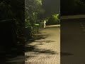 SOSOK APA INI GAIS. APAKAH INI CUMA KAIN PUTIH ATAU BENDA LAIN