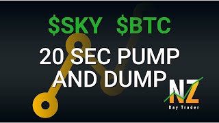 Sky Btc Pump Today Too Quick 20 Secs To 1 Min