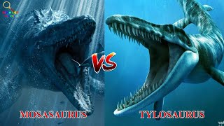 MOSASAURUS vs TYLOSAURUS | 6 Cái nhìn thú vị