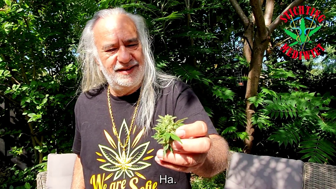 Oogsten, knippen en drogen - Deel2