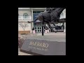 Our visit to Churchill Downs