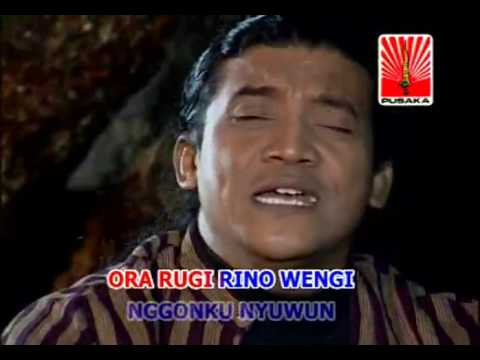 Didi Kempot - Plong