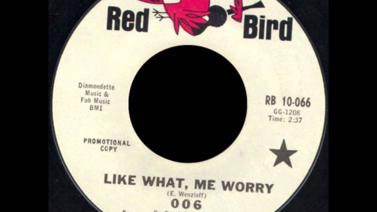 邦楽 WHAT,ME WORRY? Amazon.co.jp: What, Me Worry?: ミュージック