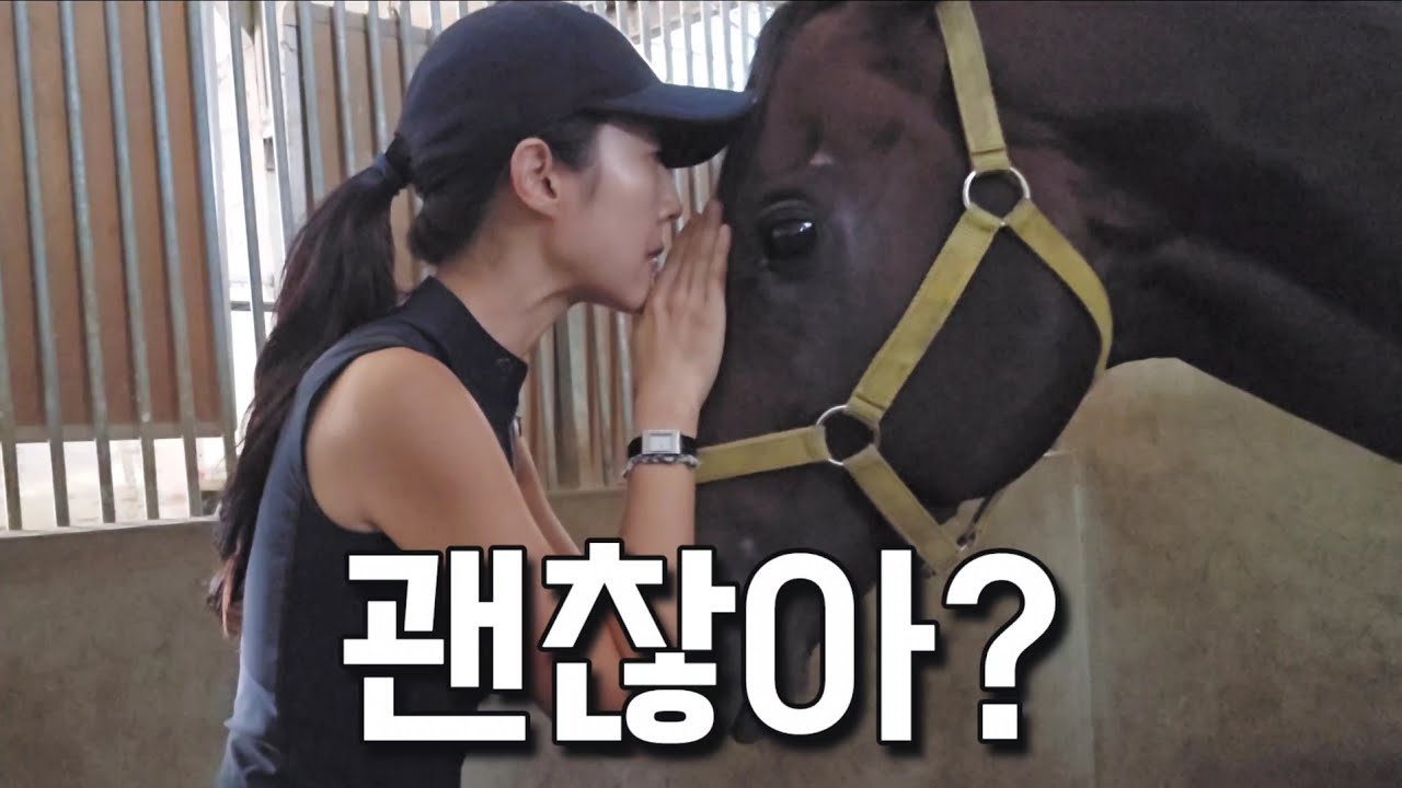 오늘도 로기는 여전히 순한..데 이게 맞는 건가?