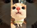 ellos son mas qué simples MASCOTAS... #gatos #cat #mascotas #catlovers #michis