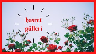 Hasret Güllerini Serdik Yollara - Müziksiz İlahi / Ömer Faruk Demirbaş Resimi