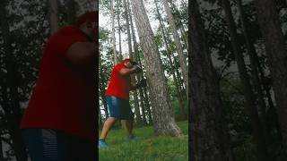 Tree Pounding training flow
