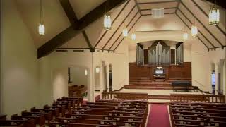 Live Stream Sanctuary Test