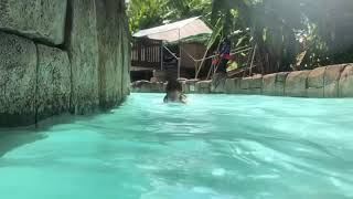 Nova Underwater - 9819