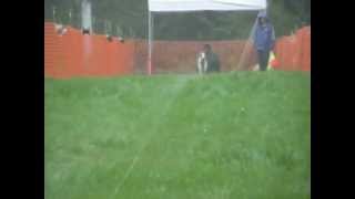 2011 0918 コーシング バズ