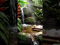 Deep Sleep with Peaceful Water Fountain Sounds