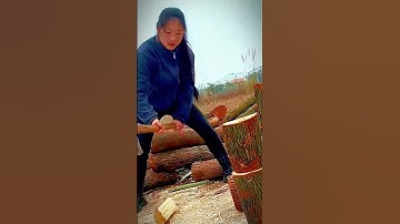 splitting a log with a super sharp axe #shorts