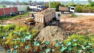 Bulldozer Pushing Soil Delete Pond And Mini Truck Working Dumping Dirt  Bulldozer Working  Dozer