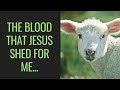 The blood that jesus shed for me will never lose its power lyrics