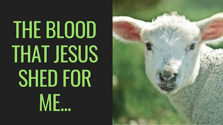 Lyrics to the blood that jesus shed for me