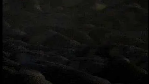 Emperor penguins unite for survival in Antarctica - David Attenborough  - BBC wildlife