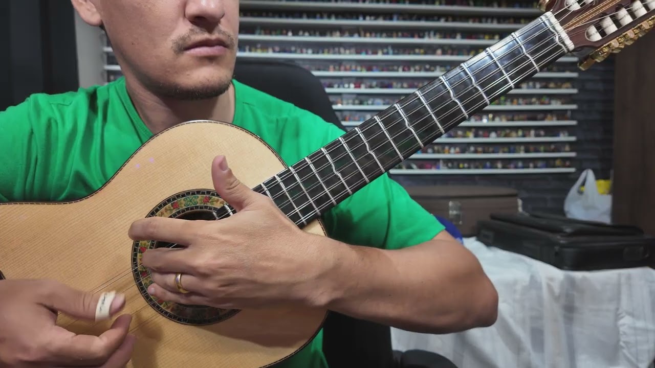 Vídeo Aula Na Viola Música: Arranjo De Pagode Do Goiano #violacaipira #pagodedeviola #musicaraiz #fy