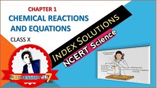 Chemical Reactions and Equations Class 10 ncert solutions | part -1 || index solutions
