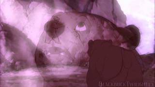 ♦BROTHER BEAR [[SORRY]]♦ [COLLAB with RoxStar09]