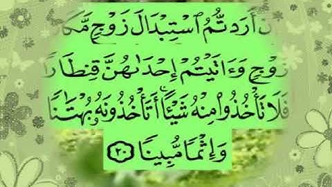 سورة النساء اية ٢٠ جمال القرش