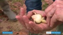 France 3 Occitanie, BTS GPN, Lycée Jean Monnet Vic en Bigorre