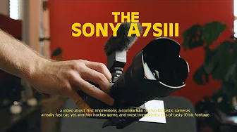 An Evening with the Sony a7siii: VLOG