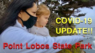 Point Lobos State Natural Reserve / COVID-19 / What to expect?? #covid19travel #pointlobos