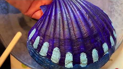 How I paint my scallop shells