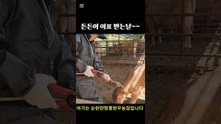 힝~귀가 아파요~