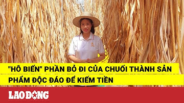 "Hô biến" phần bỏ đi của chuối thành sản phẩm độc đáo để kiếm tiền | Báo Lao Động