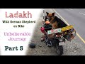 Finally ladakh with german shepherd  part 5 ladakh thebanjaaraboy