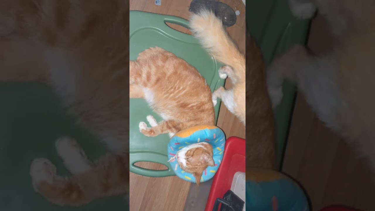 Продолжаю следить 