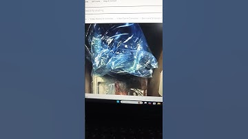 Looking at ebay nintendo dol 001 gamecube