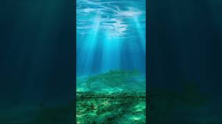 drawing an extinct animal ever day day 3