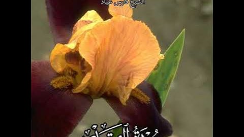 سورة القدر | الشيخ فارس عباد تلاوه خاشعه حالات واتساب ❤️