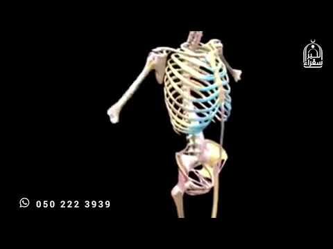 تبارك الرحمن الذي خلق الإنسان من نطفة وصوره في أحسن حال سفراء الخير