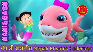 Baby Shark Doo Doo | Nepali Rhymes Collection | लोक प्रिय नेपाली बाल गीत