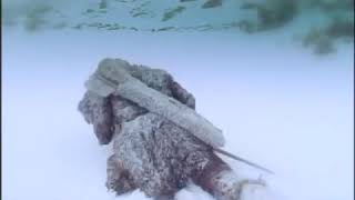 Secrets Of The Iceman Ötzi Utzi 5Th 6Th 7Th 8Th Grade